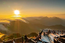 Đợt băng giá thứ 3 xuất hiện trên đỉnh Fansipan trong mùa Đông năm nay