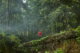 Các tour du lịch bền vững được du khách "đặc biệt quan tâm"