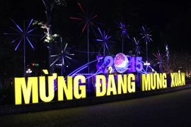 Phố phường Hà Nội "thay áo mới" đón Tết 