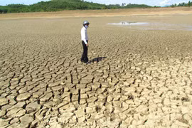 Hạn hán Ninh Thuận vào giai đoạn khốc liệt