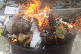 Tiêu hủy hàng chục kg ma túy các loại ​