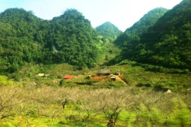 Triệt xóa đường dây lừa bán trẻ em sang Lào, làm gái mại dâm