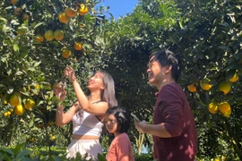 Việt Nam sẽ thuộc nhóm 30 quốc gia có năng lực cạnh tranh du lịch hàng đầu thế giới?