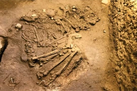 Phát hiện di cốt người có niên đại 10.000 năm tại Kim Bảng, Hà Nam