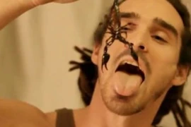 Liều mình ăn bọ cạp sống