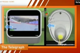 Ra mắt game trong toilet cho nam giới