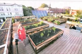 Giải trí trên nóc những tòa nhà chọc trời