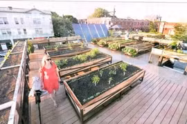 Giải trí trên nóc những tòa nhà chọc trời