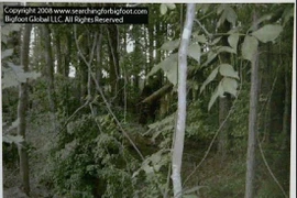 Truy tìm bí ẩn người tuyết Xi-bê-ri