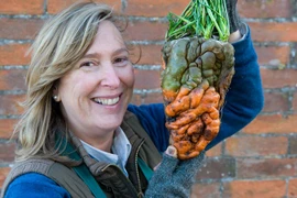 Phát hiện cà rốt khổng lồ quái dị