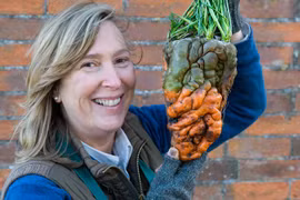 Phát hiện cà rốt khổng lồ quái dị