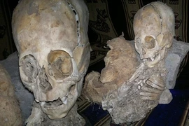 Phát hiện hộp sọ của người ngoài hành tinh?