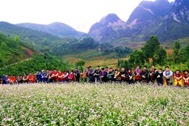 Du lịch đầu năm: Tour phong phú, du khách không quá vội