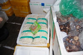 Lo lắng vì nấm "bẩn" từ Trung Quốc