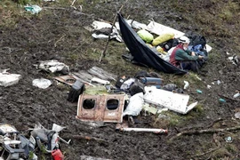 Hé lộ nguyên nhân khiến đội bóng Brazil gặp thảm họa