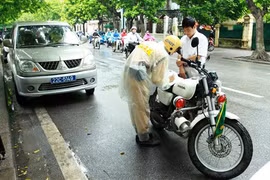 Xe biển xanh vi phạm Luật Giao thông đường bộ: Xử lý nghiêm, không có ngoại lệ