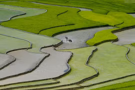 Cuộc thi nhiếp ảnh trong nước: Thiếu hấp dẫn ngay từ tên gọi