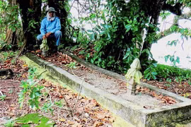 Phát hiện người khổng lồ ở Malaysia