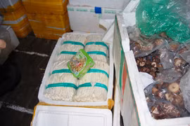 Lo lắng vì nấm "bẩn" từ Trung Quốc