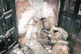 Kinh hoàng phát hiện hàng loạt thi thể người tại sở cảnh sát Ấn Độ