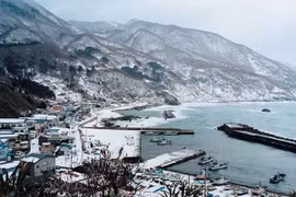 Ống kính nhiếp ảnh về nơi bị động đất tàn phá