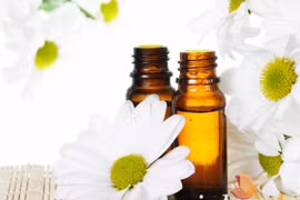 Dầu hoa cúc giảm đau do gout