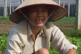 Dồn điền đổi thửa giúp thay đổi tư duy sản xuất 