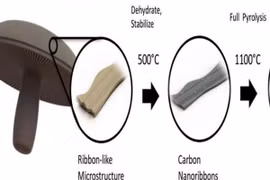 Pin siêu bền làm từ nấm