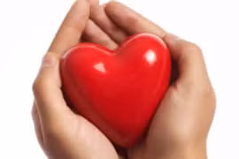 Sự khác nhau giữa trái tim nam và nữ