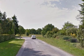 Chi 65.000 euro làm hầm cho... ếch