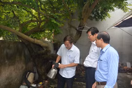 Hà Nội: Sau phun thuốc diệt muỗi sốt xuất huyết, bọ gậy đã giảm