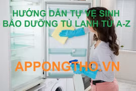 Dịch vụ vệ sinh bảo dưỡng tủ lạnh uy tín, chuẩn quy trình