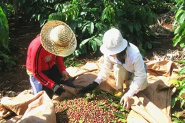 Các ngân hàng cam kết đầu tư 15.000 tỷ đồng vào khu vực Tây Nguyên