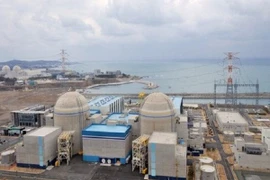 Hàn Quốc “bất an” vì hacker làm rò rỉ dữ liệu hạt nhân 