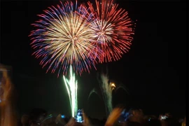 Rộn ràng niềm vui trong ánh sáng rực rỡ của pháo hoa đêm giao thừa