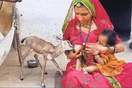 Giật mình xem Bộ luật đạo đức của người da đỏ 