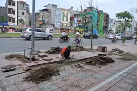 Được đầu tư rất lớn song hè tuyến phố Ô Chợ Dừa – Hoàng Cầu chưa đẹp