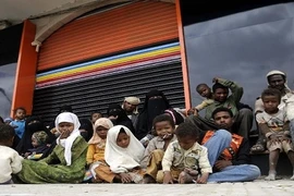 Đụng độ giữa quân đội và quân nổi dậy ở Yemen, 290 người thiệt mạng