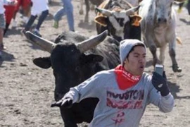 Quay phim tự sướng khi đang bị bò tót đuổi