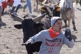 Quay phim tự sướng khi đang bị bò tót đuổi