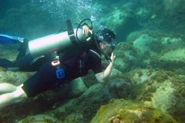 Audio 7-5-2016: Quảng Bình thuê thợ lặn tìm nguyên nhân cá chết dưới đáy biển