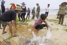 Thủ tướng yêu cầu rà soát các cơ sở xả thải ra biển sau vụ cá chết