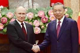Chủ tịch nước Tô Lâm hội đàm với Tổng thống Liên bang Nga Vladimir Putin