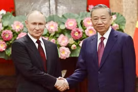 Chủ tịch nước Tô Lâm hội đàm với Tổng thống Liên bang Nga Vladimir Putin