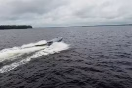 Houthi dùng ‘thuyền không người lái’ tấn công tàu hàng ở Biển Đỏ