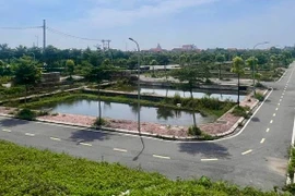 Hà Nội: Nhiều huyện ngoại thành chuẩn bị đấu giá đất, giá khởi điểm 7,3 triệu/m2