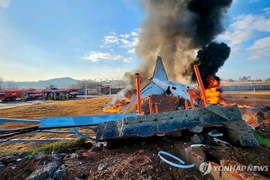 Tai nạn máy bay chở khách tại Hàn Quốc, thương vong rất lớn