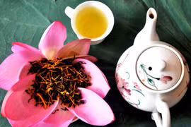 Tao nhã thú trà sen bên hồ trong sương sớm