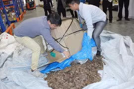 Phát hiện số lượng lớn vảy tê tê trong lô hàng văn phòng phẩm