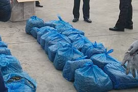 Tạm giữ gần 70kg lá khô nghi là lá khát